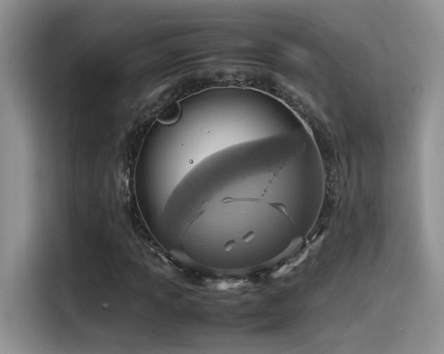 X0000115541013200911061456