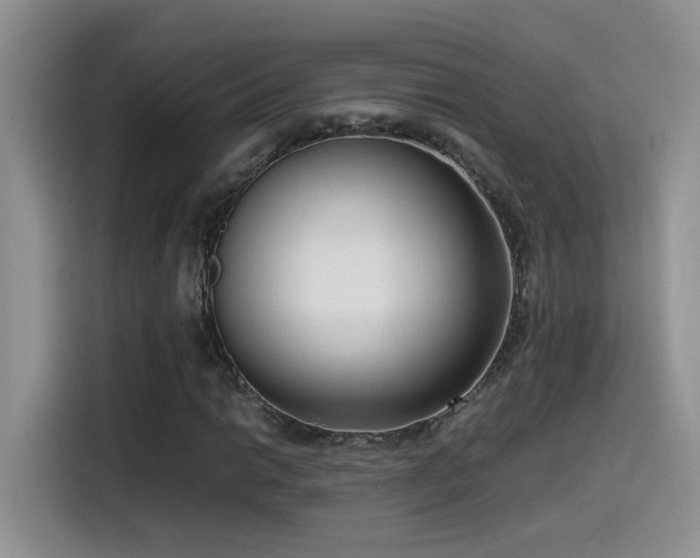 X0000115541014200911061456