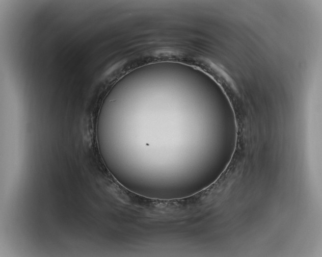 X0000115541015200911061456