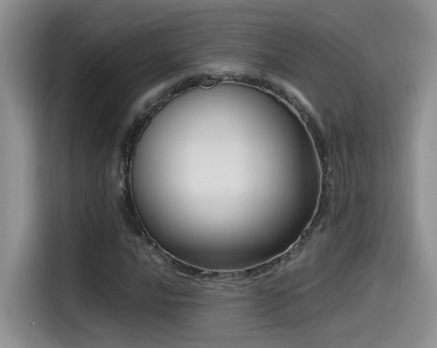 X0000115541016200911061456