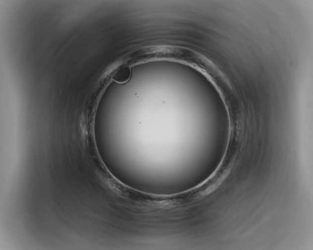 X0000115541017200911061456