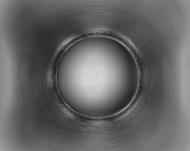 X0000115541018200911061456