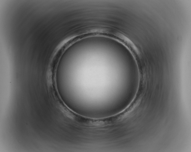 X0000115541019200911061456