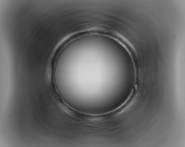 X0000115541021200911061456