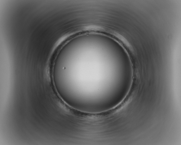 X0000115541022200911061456