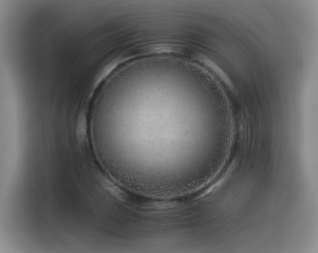 X0000115541023200911061456