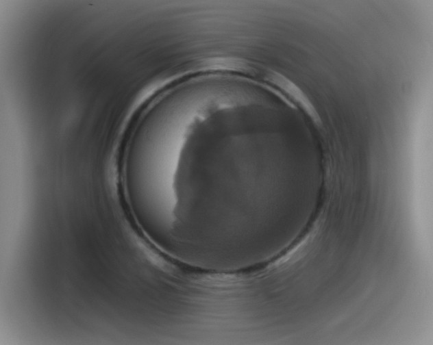 X0000115541024200911061456