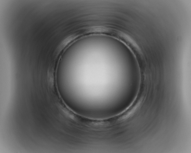 X0000115541025200911061456