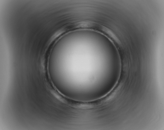 X0000115541026200911061456