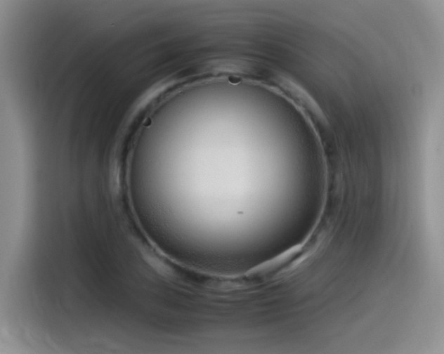 X0000115541027200911061456