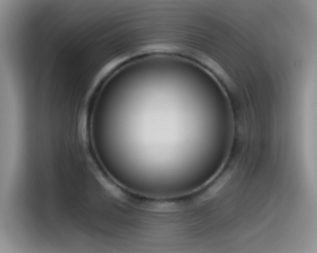 X0000115541030200911061456