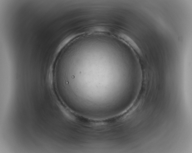 X0000115541031200911061456