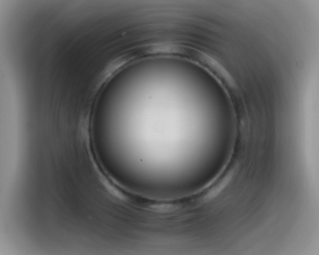 X0000115541033200911061456