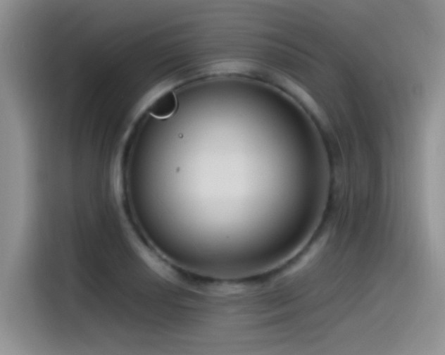 X0000115541034200911061456