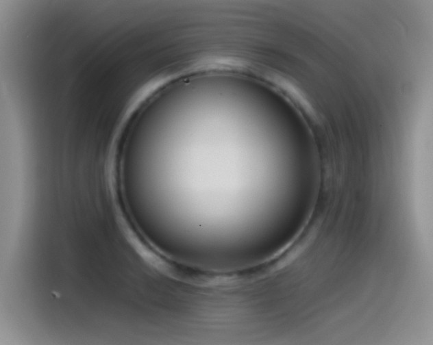 X0000115541038200911061456