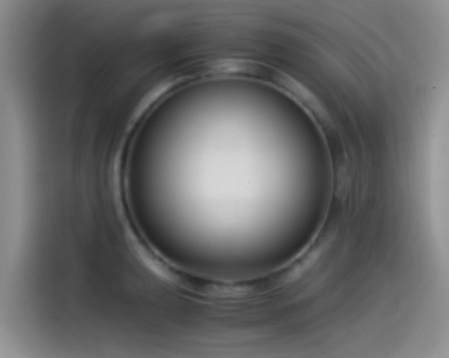 X0000115541039200911061456