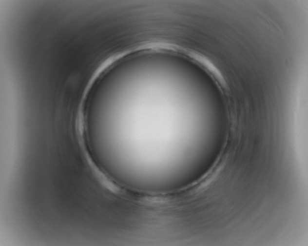 X0000115541040200911061456