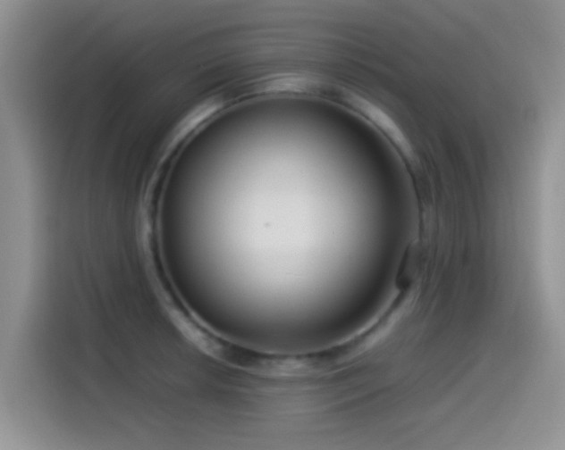 X0000115541042200911061456