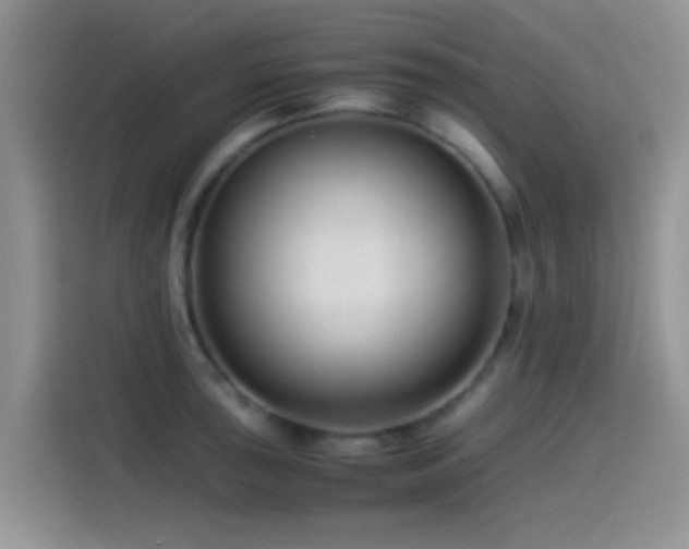 X0000115541043200911061456