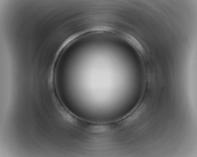 X0000115541044200911061456