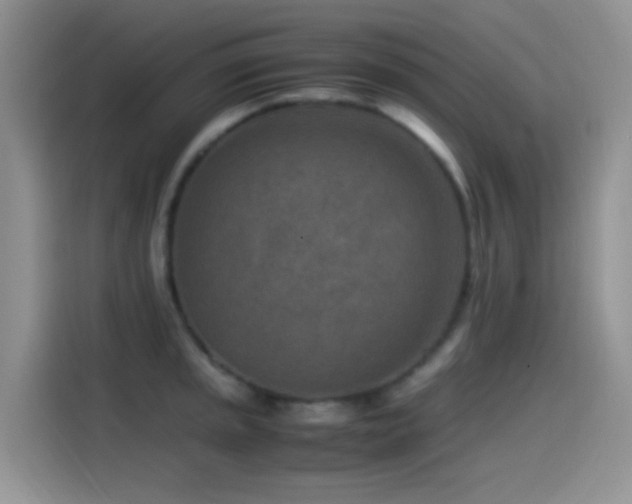 X0000115541045200911061456