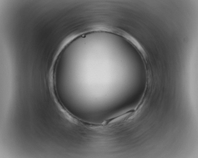 X0000115541048200911061456