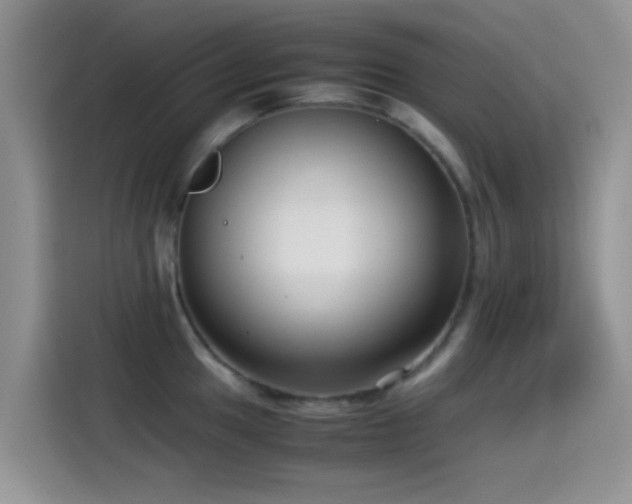 X0000115541049200911061456