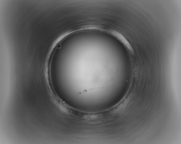 X0000115541051200911061456