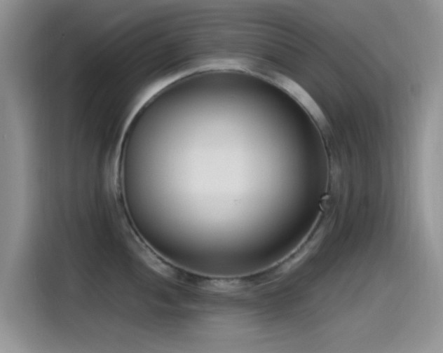 X0000115541052200911061456