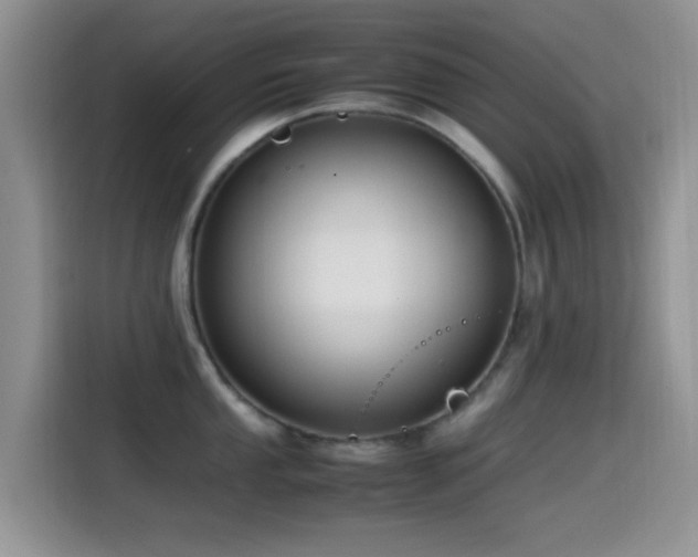 X0000115541053200911061456