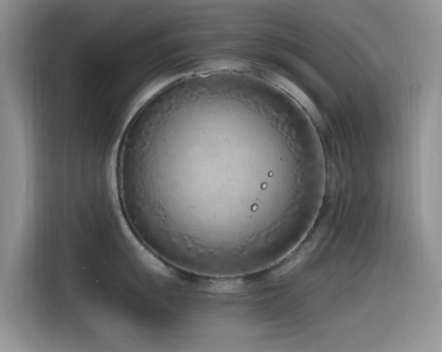 X0000115541055200911061456