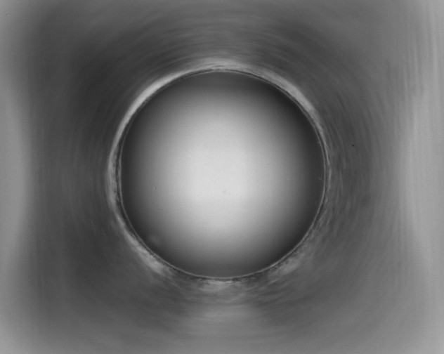 X0000115541056200911061456