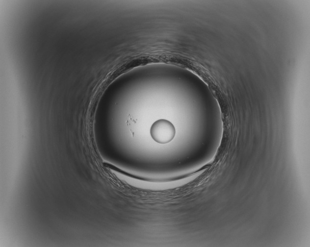 X0000115541057200911061456