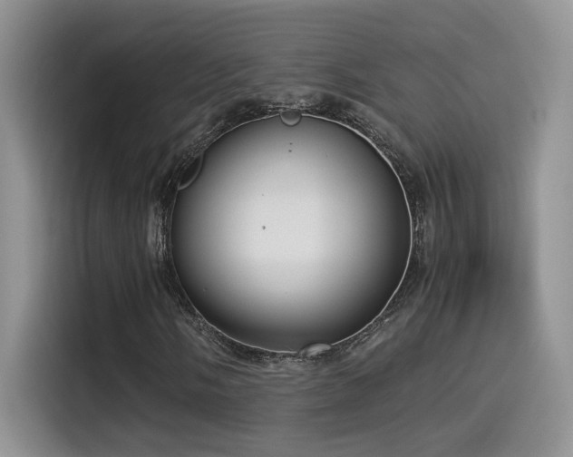 X0000115541058200911061456