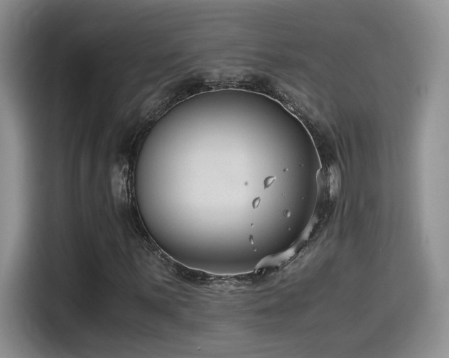 X0000115541059200911061456