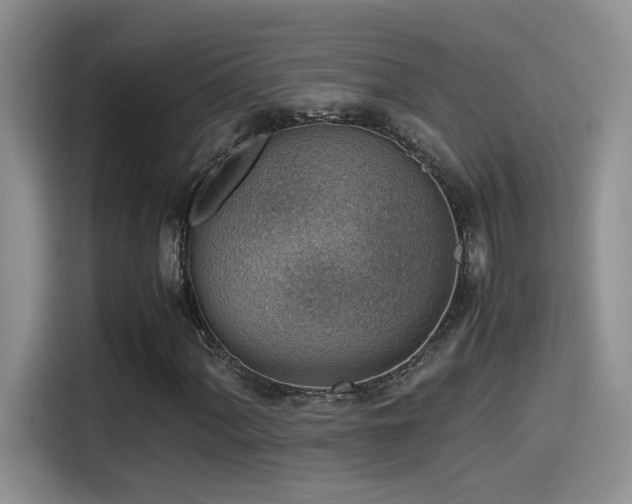 X0000115541060200911061456