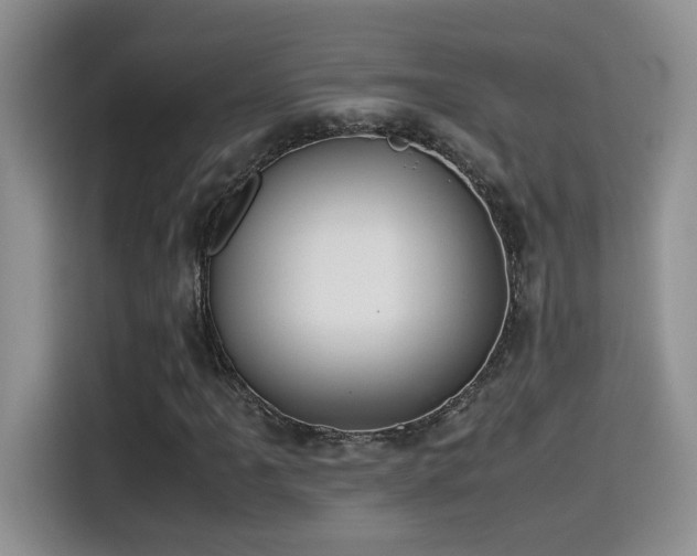 X0000115541061200911061456