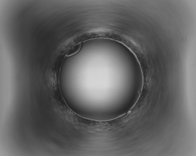 X0000115541062200911061456