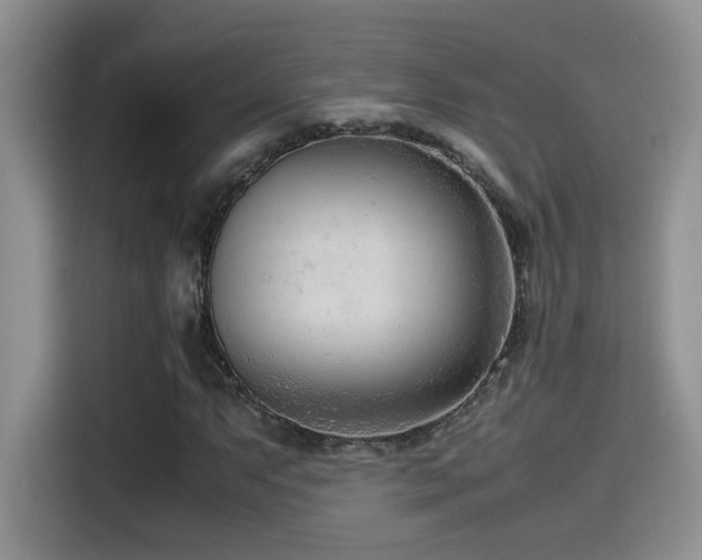 X0000115541063200911061456