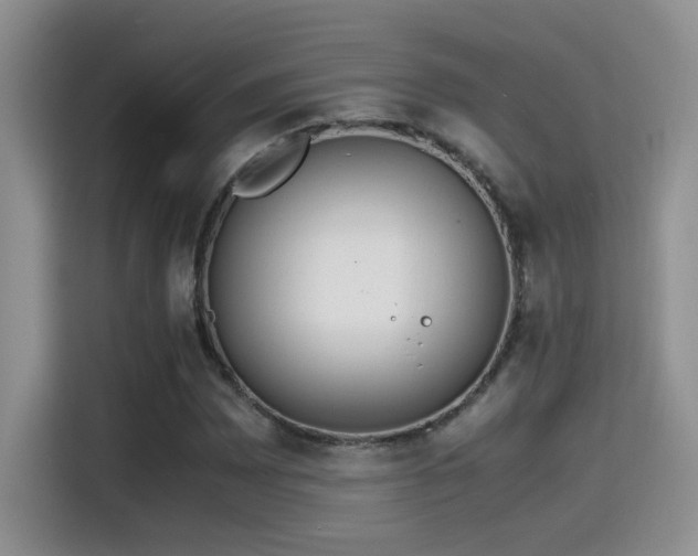 X0000115541065200911061455