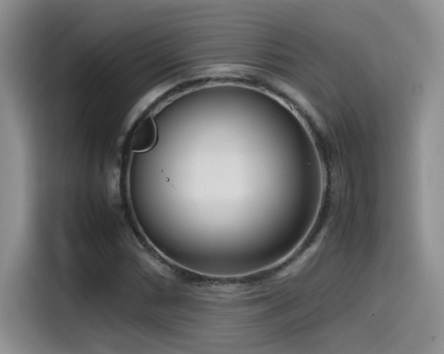 X0000115541066200911061455