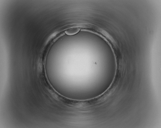 X0000115541067200911061455