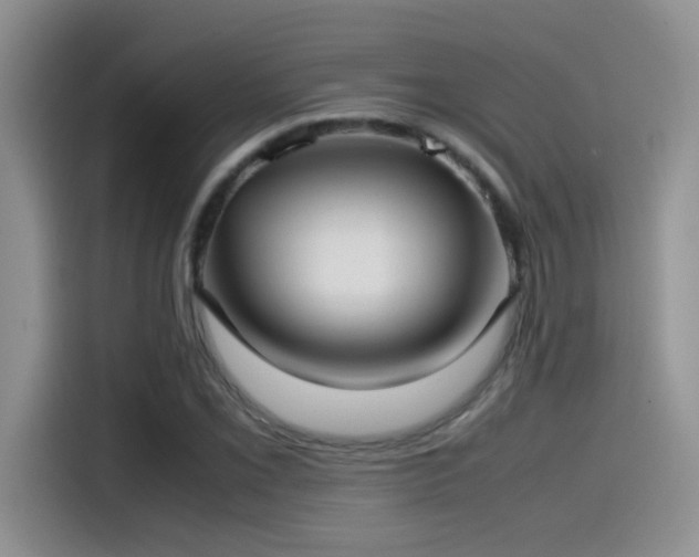 X0000115541069200911061455