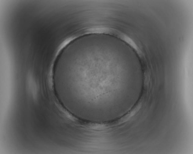 X0000115541071200911061455