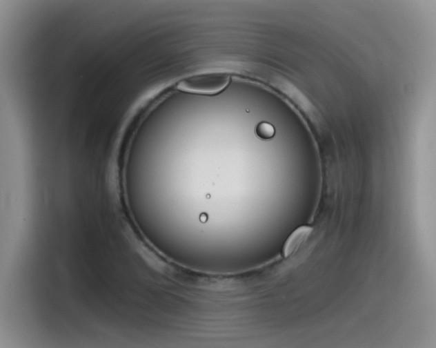 X0000115541072200911061455