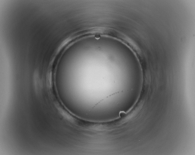 X0000115541075200911061455