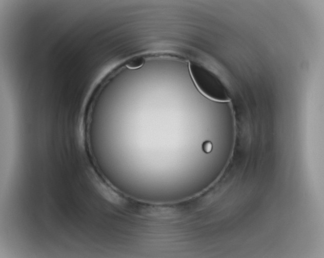 X0000115541076200911061455