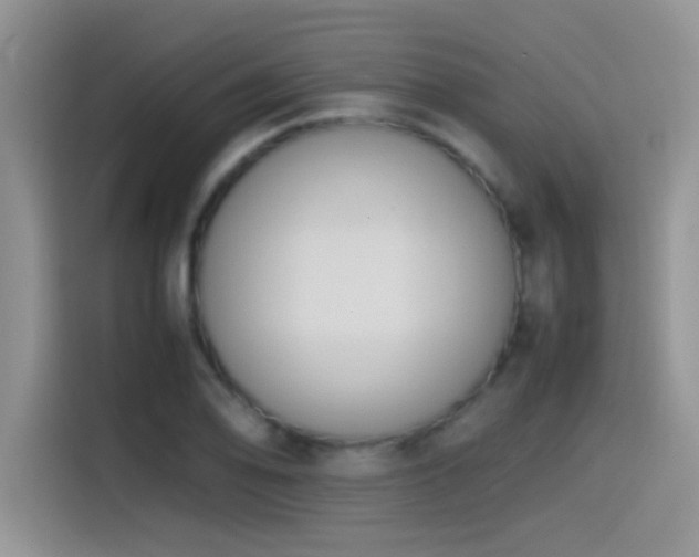 X0000115541078200911061455