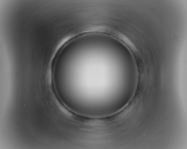 X0000115541079200911061455