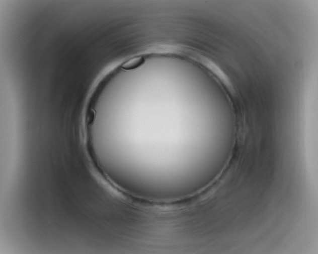 X0000115541080200911061455